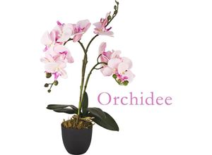 4059419134604 - Künstliche Blumen Orchidee Orchideen Pflanzen Kunstpflanze Kunstblumen Künstlich Pflanze Rosa Pink mit Topf Deko 45 cm Decovego