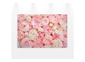 4059432204407 - Leinwandbild AS CRÉATION Roses Bilder Gr B H 90 cm x 60 cm Blumen Querformat 1 St rosa Leinwandbilder Romantische Rosen Rosenbild Keilrahmen