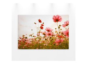 4059432204711 - Leinwandbild AS CRÉATION Flower Meadow Bilder Gr B H 90 cm x 60 cm Blumen Querformat 1 St bunt (rot grün weiß) Leinwandbilder Mohnblume Keilrahmen Blumenwiese