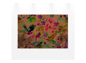 4059432205282 - Leinwandbild AS CRÉATION funky birds 3 Bilder Gr B H 90 cm x 60 cm Vögel Querformat 1 St bunt (orange grün lila) Leinwandbilder Keilrahmen Bild mit Vögel Floral