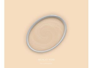 4059432258073 - Bricoflor - Wandfarbe apricot creme mit hoher Deckkraft ideal für Schlafzimmer und Flur Moderne Farbe für innen in 25 und 5 l Wandfarbe Beige 5l