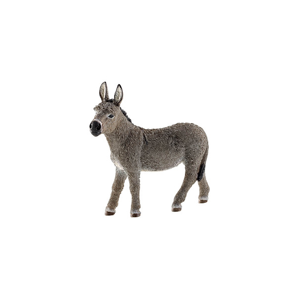 4059433025520 - Farm World 13772 Esel Spielfigur 4059433025520 Schleich 4059433025520 - Farm World 13772 Esel Spielfigur 4059433025520 Schleich