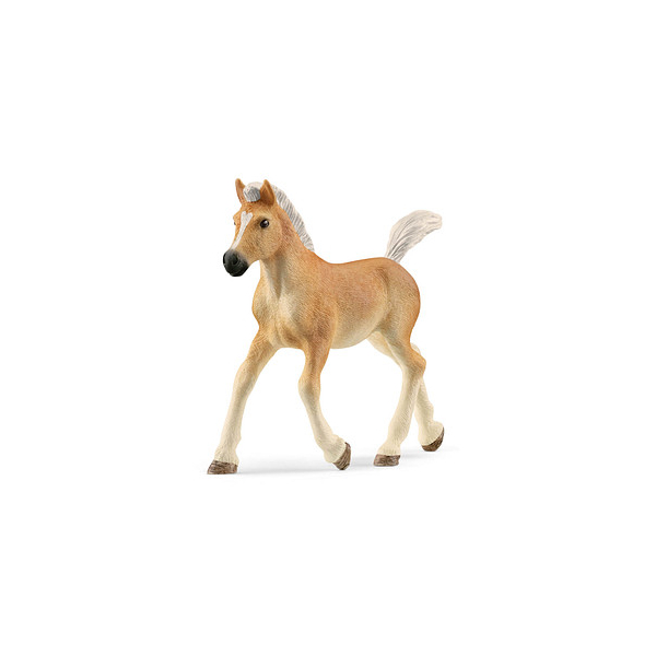 4059433557519 - Horse Club 13951 Haflinger Fohlen Spielfigur 4059433557519 Schleich