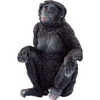 4059433731261 - schleich® 14875 Wild Life - Bonobo Weibchen