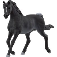 4059433753676 - schleich® 13981 Horse Club - Araber Hengst