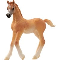 4059433753690 - schleich® 13984 Horse Club - Araber Fohlen