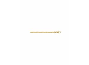 4059468440350 - Goldkette ADELIA´S 585 Gold Flach Panzer Halskette Ø 18 mm Halsketten Gr 45 Gelbgold 585 goldfarben (gold) Damen Goldketten Goldschmuck für