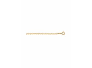 4059468441760 - Goldkette ADELIA´S 333 Gold Anker Halskette Ø 11 mm Halsketten Gr 36 Gelbgold 333 goldfarben (gold) Damen Goldketten Goldschmuck für