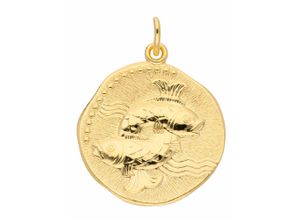 4059468443689 - Ketten-Anhänger ADELIA´S 333 Gold Sternzeichen Anhänger Fisch Ø 182 mm Schmuckanhänger Gr Damen Fische Gelbgold 333 goldfarben (gold) Damen Anhänger Goldschmuck für & Herren