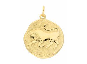 4059468443702 - Ketten-Anhänger ADELIA´S 333 Gold Sternzeichen Anhänger Stier Ø 182 mm Schmuckanhänger Gr Damen Stier Gelbgold 333 goldfarben (gold) Damen Anhänger Goldschmuck für & Herren