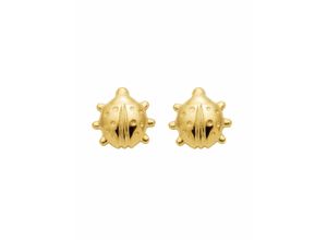 4059468446031 - Paar Ohrhänger ADELIA´S 333 Gold Ohrringe Ohrstecker Marienkäfer Gr Damen Gelbgold 333 goldfarben (gold) Damen Ohrhänger Goldschmuck für