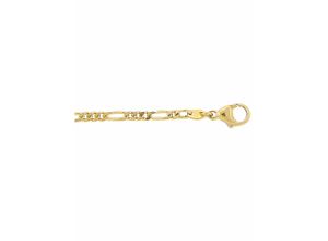 4059468446826 - Goldarmband ADELIA´S 333 Gold Figaro Armband 19 cm Ø 27 mm Armbänder Gr 19 Gelbgold 333 goldfarben (gold) Damen Armbänder Gold Goldschmuck für