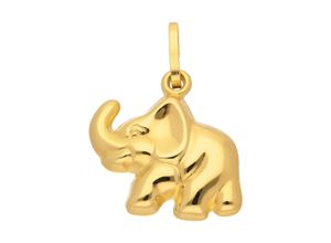 4059468450090 - Ketten-Anhänger ADELIA´S 333 Gold Anhänger Elefant Schmuckanhänger Gr Kinder Gelbgold 333 goldfarben (gold) Damen Anhänger Goldschmuck für 4059468450090 - Ketten-Anhänger ADELIA´S 333 Gold Anhänger Elefant Schmuckanhänger Gr Kinder Gelbgold 333 goldfarben (gold) Damen Anhänger Goldschmuck für