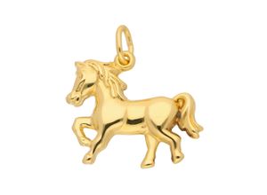 4059468451639 - Ketten-Anhänger ADELIA´S 585 Gold Anhänger Pferd Schmuckanhänger Gr Kinder Pferd Gelbgold 585 goldfarben (gold) Damen Anhänger Goldschmuck für