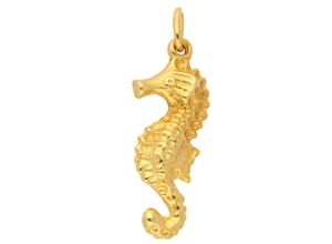 4059468461300 - Ketten-Anhänger ADELIA´S 333 Gold Anhänger Seepferdchen Schmuckanhänger Gr Kinder Gelbgold 333 goldfarben (gold) Damen Anhänger Goldschmuck für