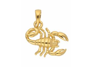 4059468470777 - Ketten-Anhänger ADELIA´S 585 Gold Sternzeichen Anhänger Skorpion Schmuckanhänger Gr Damen Skorpion Gelbgold 585 goldfarben (gold) Damen Anhänger Goldschmuck für & Herren