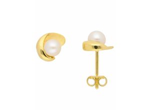 4059468488123 - Paar Ohrhänger ADELIA´S 333 Gold Ohrringe Ohrstecker mit Zirkonia Gr Damen Gelbgold 333 goldfarben (gold) Damen Ohrhänger mit Zirkonia Goldschmuck für