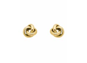 4059468488536 - Paar Ohrhänger ADELIA´S 333 Gold Ohrringe Ohrstecker Knoten Gr Damen Gelbgold 333 goldfarben (gold) Damen Ohrhänger Goldschmuck für