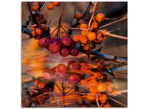 4059745025126 - Glasbild ARTLAND Rote Beeren - Wildbeeren Bilder Gr B H 50 cm x 50 cm Glasbild Pflanzen quadratisch 1 St orange Bild Glasbild Glasbilder Bilder in verschiedenen Größen