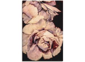 4059745047265 - Wandbild ARTLAND Pfingsrose III Bilder Gr B H 60 cm x 90 cm Leinwandbild Blumen 1 St braun Bild Poster Kunstdruck Bilder als Alubild Leinwandbild Wandaufkleber oder in versch Größen