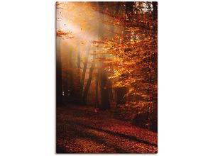 4059745091855 - Wandbild ARTLAND Sonnenaufgang im Herbst Bilder Gr B H 60 cm x 90 cm Leinwandbild Wald 1 St goldfarben Bild Kunstdruck Kunstdrucke Bilder als Alubild Leinwandbild Wandaufkleber oder Poster in versch Größen