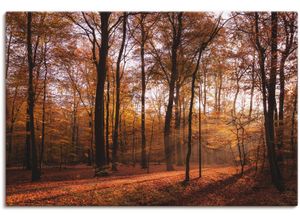 4059745092050 - Wandbild ARTLAND Sonnenaufgang im Herbst II Bilder Gr B H 90 cm x 60 cm Leinwandbild Wald 1 St braun Bild Kunstdruck Kunstdrucke Bilder als Alubild Leinwandbild Wandaufkleber oder Poster in versch Größen