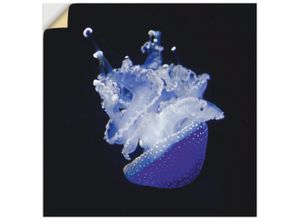 4059745287845 - Wandbild ARTLAND Qualle Aquarium Zoo Bilder Gr B H 30 cm x 30 cm Wandaufkleber - Vinyl Wassertiere quadratisch 1 St blau Bild Poster Bilder als Alubild Leinwandbild Wandaufkleber oder in versch Größen