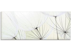 4059745300834 - Glasbild ARTLAND Pusteblumen-Samen aufgehellt Bilder Gr B H 125 cm x 50 cm Glasbild Blumen 1 St grün Glasbilder in verschiedenen Größen