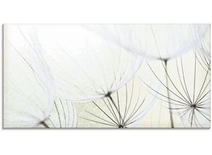 4059745300858 - Glasbild ARTLAND Pusteblumen-Samen aufgehellt Bilder Gr B H 100 cm x 50 cm Glasbild Blumen 1 St grün Glasbilder in verschiedenen Größen