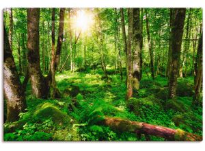 4059745302302 - Wandbild ARTLAND Wald Bilder Gr B H 90 cm x 60 cm Leinwandbild Wald 1 St grün Bild Kunstdruck Kunstdrucke Bilder als Alubild Leinwandbild Wandaufkleber oder Poster in versch Größen