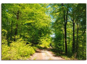 4059745427838 - Wandbild ARTLAND Blauer Himmel über dem Wald im Mai Bilder Gr B H 90 cm x 60 cm Leinwandbild Wald 1 St grün Bild Kunstdruck Kunstdrucke Bilder als Alubild Leinwandbild Wandaufkleber oder Poster in versch Größen