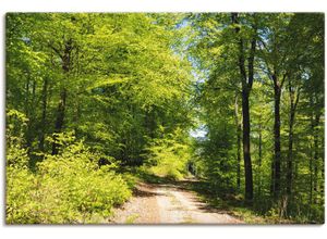 4059745427876 - Wandbild ARTLAND Blauer Himmel über dem Wald im Mai Bilder Gr B H 120 cm x 80 cm Leinwandbild Wald 1 St grün Bild Kunstdruck Kunstdrucke Bilder als Alubild Leinwandbild Wandaufkleber oder Poster in versch Größen