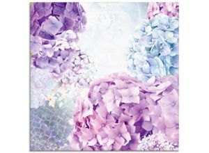 4059745433082 - Glasbild ARTLAND Blau und Pink Hortensie Bilder Gr B H 30 cm x 30 cm Glasbild Blumen quadratisch 1 St lila (blau) Bild Glasbild Glasbilder Bilder in verschiedenen Größen