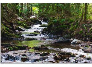 4059745478670 - Wandbild ARTLAND Bachlauf im Wald Bilder Gr B H 90 cm x 60 cm Alu-Dibond-Druck Gewässer 1 St braun Bild Kunstdruck Poster Bilder als Alubild Leinwandbild Wandaufkleber oder in versch Größen