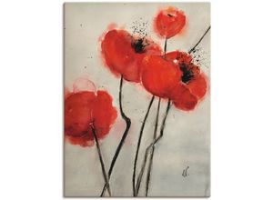 4059745559737 - Wandbild ARTLAND Roter Mohn Bilder Gr B H 60 cm x 80 cm Leinwandbild Blumen 1 St rot Bild Kunstdruck Kunstdrucke Bilder als Alubild Leinwandbild Wandaufkleber oder Poster in versch Größen