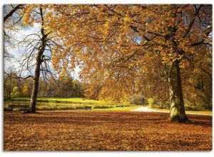 4059745637046 - Wandbild ARTLAND Herbst bei Schlosses Nymphenburg Bilder Gr B H 100 cm x 70 cm Leinwandbild Wiesen & Bäume 1 St braun Bild Leinwandbild Kunstdrucke Bilder als Alubild Leinwandbild Wandaufkleber oder Poster in versch Größen