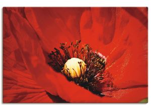 4059745688369 - Wandbild ARTLAND Roter Mohn Bilder Gr B H 90 cm x 60 cm Leinwandbild Blumen Querformat 1 St rot Bild Poster Bilder als Alubild Leinwandbild Wandaufkleber oder in versch Größen