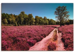 4059745708913 - Wandbild ARTLAND Lüneburger Heide Romantik Bilder Gr B H 120 cm x 80 cm Leinwandbild Blumenwiese 1 St lila Bild Kunstdruck Poster Bilder als Alubild Leinwandbild Wandaufkleber oder in versch Größen