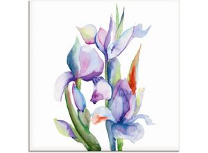 4059745776745 - Glasbild ARTLAND Iris Bilder Gr B H 20 cm x 20 cm Blumen 1 St blau Glasbilder Bilder in verschiedenen Größen