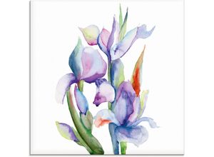 4059745776769 - Glasbild ARTLAND Iris Bilder Gr B H 40 cm x 40 cm Blumen 1 St blau Glasbilder Bilder in verschiedenen Größen