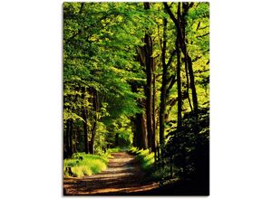 4059745780940 - Wandbild ARTLAND Weg im Wald Bilder Gr B H 90 cm x 120 cm Leinwandbild Wald 1 St grün Bild Leinwandbild Kunstdrucke Bilder als Alubild Leinwandbild Wandaufkleber oder Poster in versch Größen