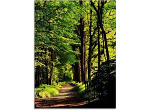 4059745781138 - Glasbild ARTLAND Weg im Wald Bilder Gr B H 45 cm x 60 cm Glasbild Wald 1 St grün Glasbilder in verschiedenen Größen