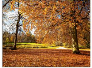 4059745781251 - Glasbild ARTLAND Herbst bei Schlosses Nymphenburg Bilder Gr B H 80 cm x 60 cm Glasbild Wiesen & Bäume 1 St braun Glasbilder in verschiedenen Größen