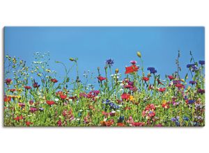 4059745841191 - Wandbild ARTLAND Blumenwiese II Bilder Gr B H 100 cm x 50 cm Leinwandbild Blumenwiese Querformat 1 St blau Bild Poster Bilder als Alubild Leinwandbild Wandaufkleber oder in versch Größen