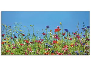 4059745841245 - Glasbild ARTLAND Blumenwiese II Bilder Gr B H 100 cm x 50 cm Glasbild Blumenwiese Querformat 1 St blau Bild Glasbild Glasbilder Bilder in verschiedenen Größen