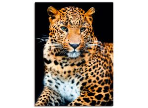 4059745926904 - Wandbild ARTLAND Wütender wilder Leopard Bilder Gr B H 90 cm x 120 cm Leinwandbild Wildtiere Hochformat 1 St schwarz Bild Poster Bilder als Alubild Leinwandbild Wandaufkleber oder in versch Größen