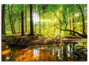 4059745929639 - Wandbild ARTLAND Wald mit Bach Bilder Gr B H 120 cm x 80 cm Leinwandbild Wald Querformat 1 St grün Bild Poster Bilder als Alubild Leinwandbild Wandaufkleber oder in versch Größen