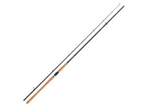 4059845162783 - Daiwa Pro Staff 250m 60-140g Rute BIG BAIT SPIN