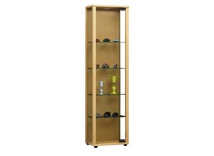 4059865104527 - Vitrinenschrank Glas Sammler Vitrine Standvitrine Wohnzimmer Schrank Buche Dekor