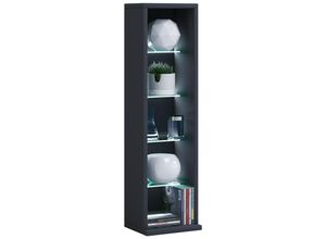 4059865117237 - Standregal Glasregal Wandregal Stand Glas Aufbewahrung Regal Raumtrenner schwarz